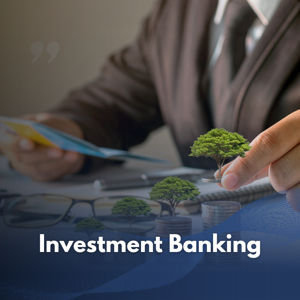 Investment Banking